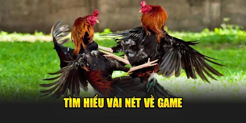 Tìm hiểu vài nét về game