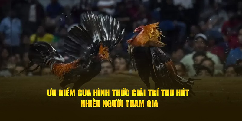 Ưu điểm của hình thức giải trí thu hút nhiều người tham gia