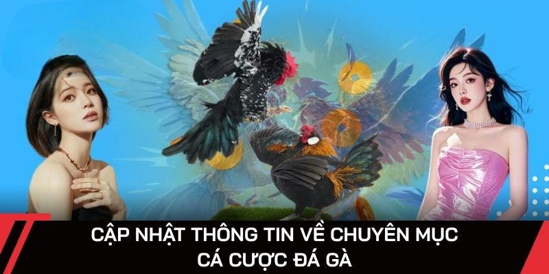 Đá Gà BJ88 – Trải Nghiệm Hấp Dẫn Với Chuyên Mục Top Đầu